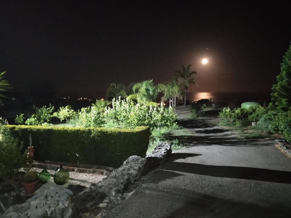 Vonkajšia záhrada v ubytovaní Profumo di Zagara Acireale