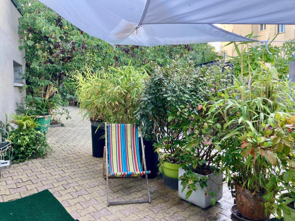Zahrada ubytování Maisonnette studio Arcachon 300m plage