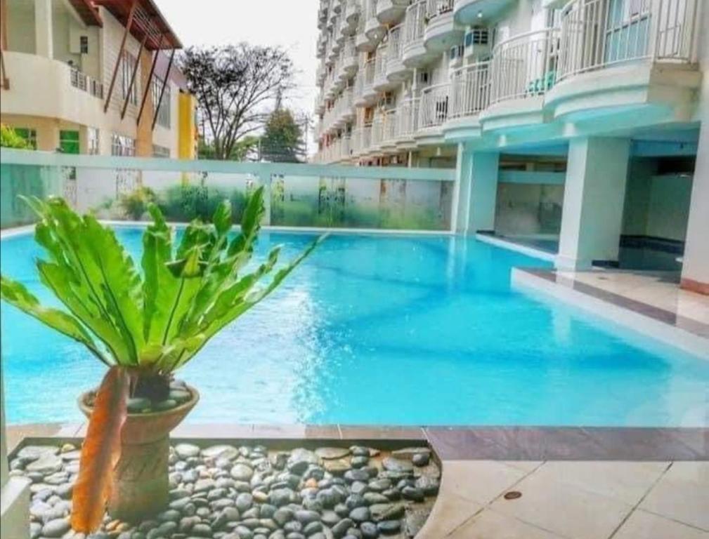 a large swimming pool with a plant next to a building at Evelyn's Place at Tagaytay 2 in Tagaytay