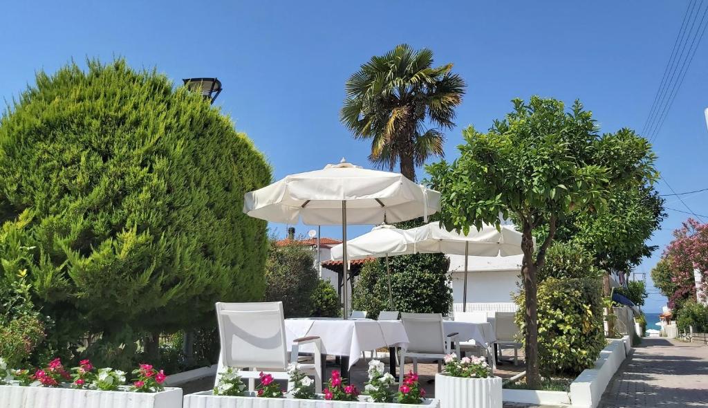 Zahrada ubytování Akrogiali Exclusive Hotel (Adults Only)