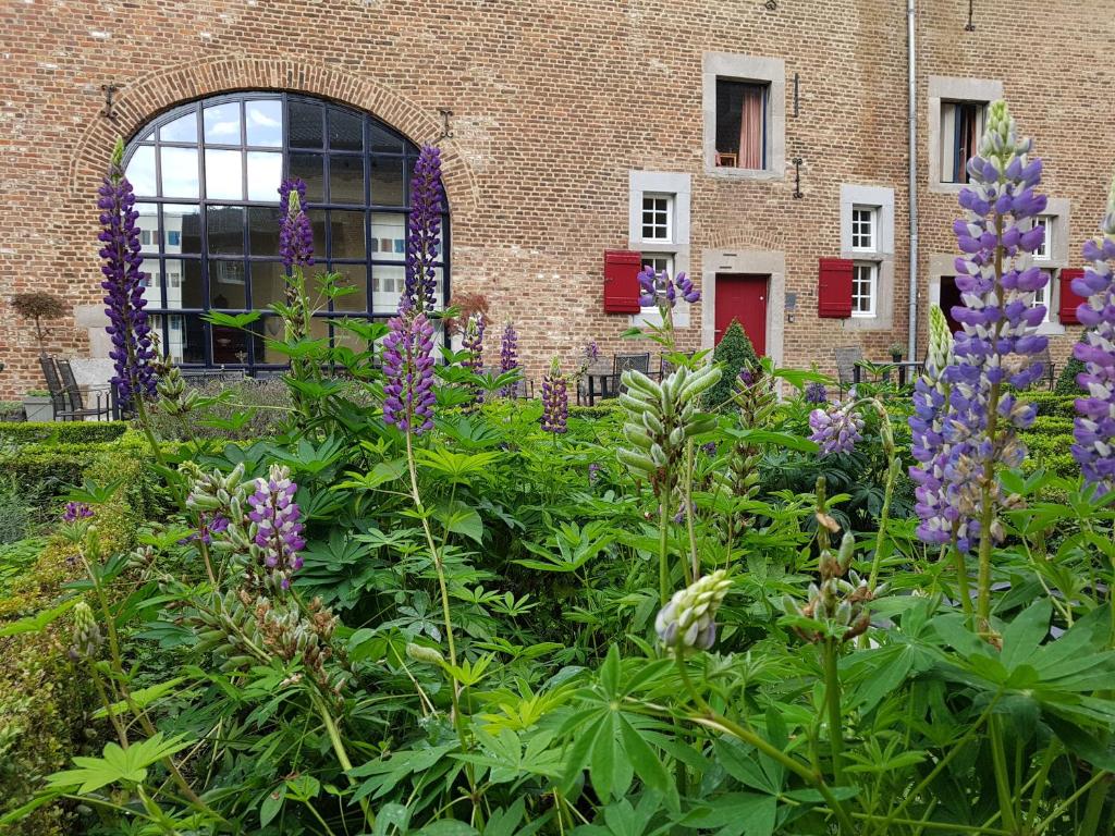 a garden with purple flowers in front of a brick building at Meschermolen 14 in Mesch