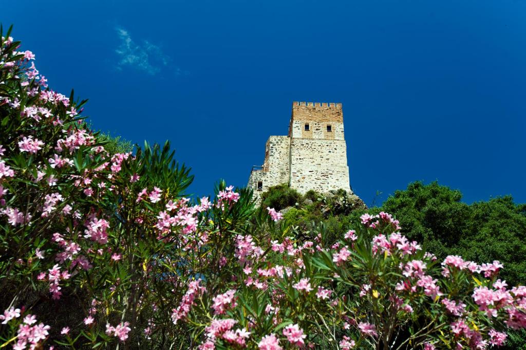 una torre alta e bianca con fiori rosa in primo piano di Castello Malicas a Galtellì