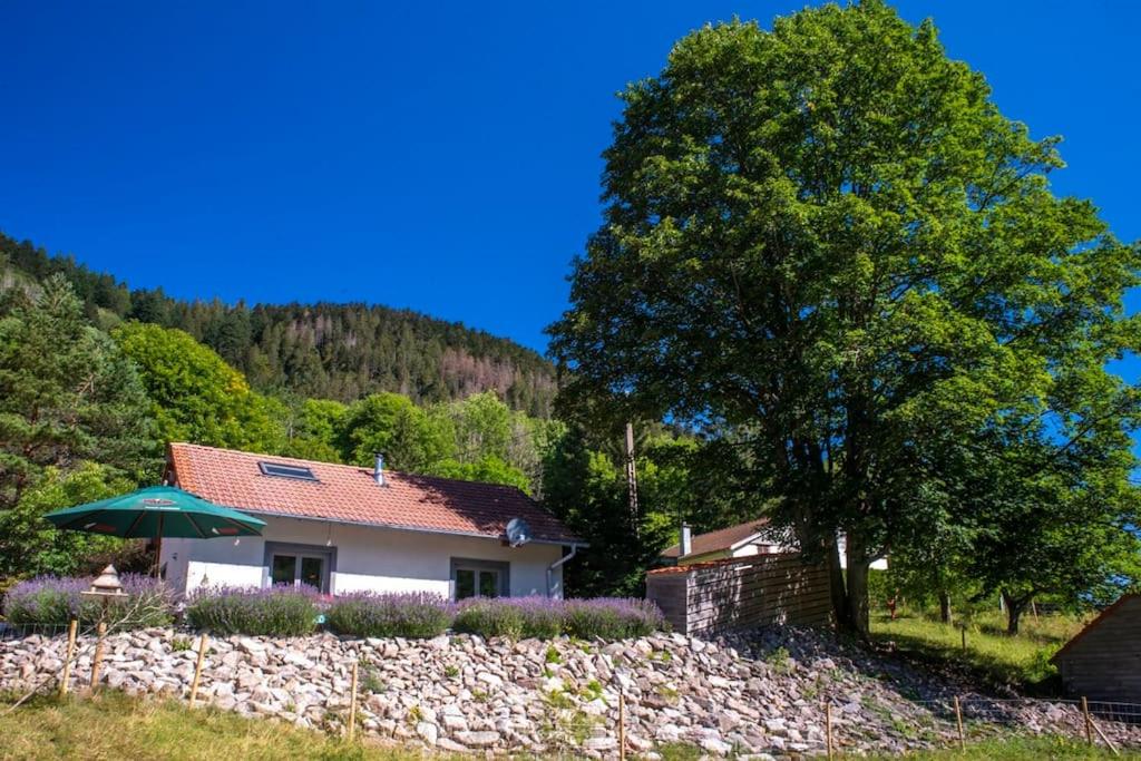 a house with a tree and a stone wall at Le Valtin Gite au calme in Le Valtin