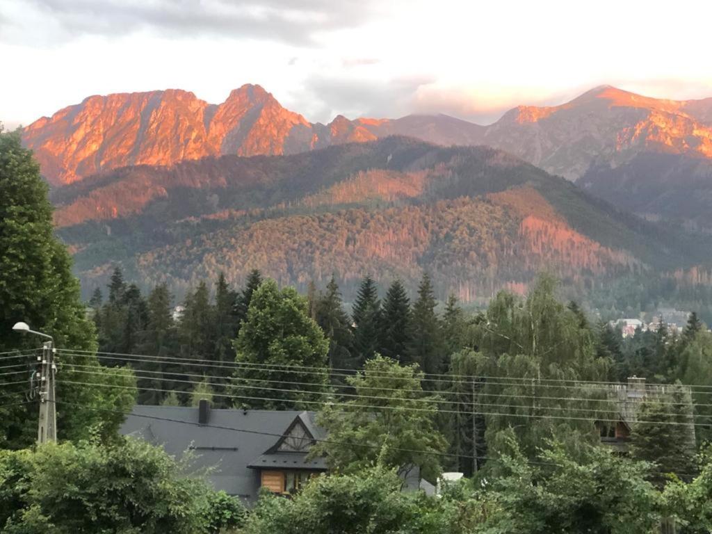 a view of a mountain range with trees and a house at Apartament Cud Miód in Kościelisko
