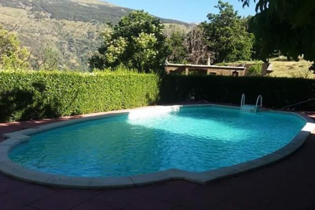 a large blue swimming pool in a yard at Los Castaños, Vivienda Rural, Capileira in Capileira