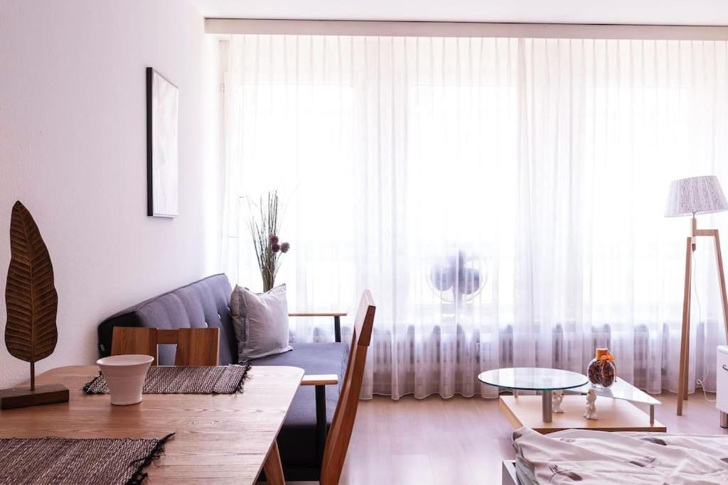 Studio Apartment City Centre, Basel (313), Basel (aktualisierte Preise