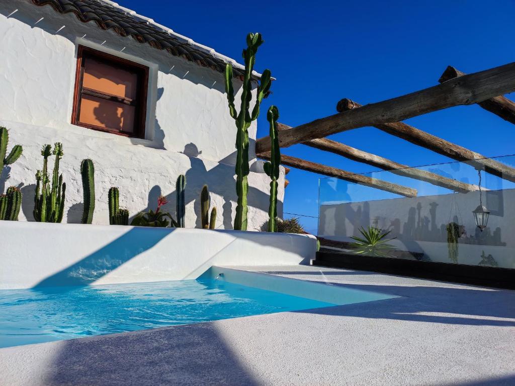 a house with a swimming pool next to a cactus at Casa Pedro in Icod de los Vinos