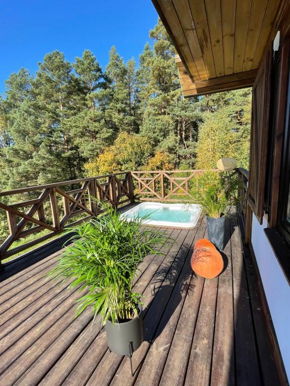 Bazén v ubytování Warmia Resort nebo v jeho okolí