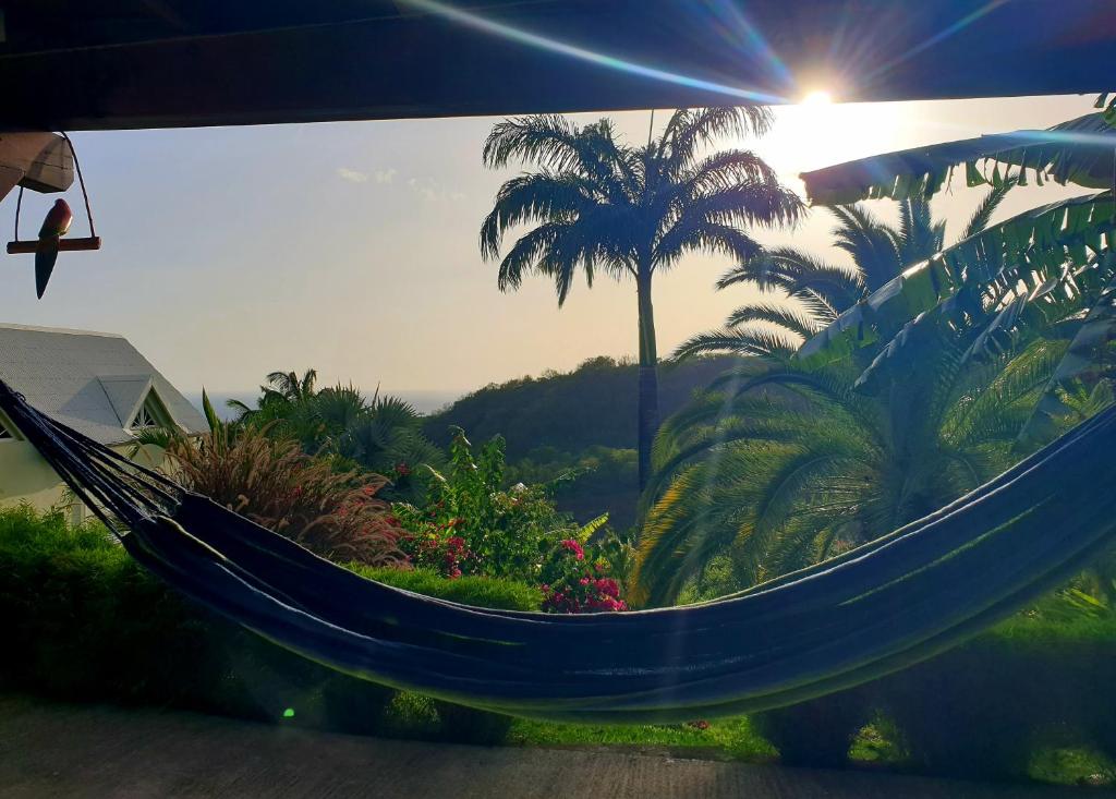 a blue hammock with a palm tree in the background at Gîte 4 étoiles, la Vieille Sucrerie St Claude Guadeloupe, Jacuzzi Spa privatif, vue exceptionnelle sur la mer des Caraïbes in Basse-Terre
