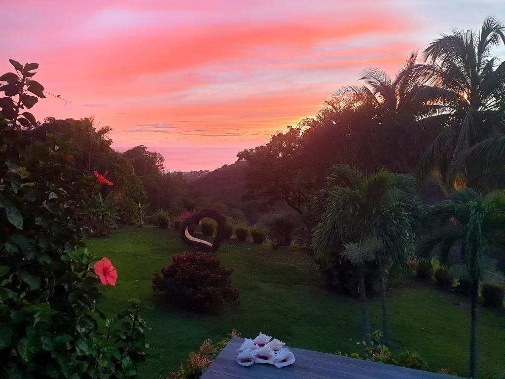 Zahrada ubytování Gîte 4 étoiles, la Vieille Sucrerie St Claude Guadeloupe, Jacuzzi Spa privatif, vue exceptionnelle sur la mer des Caraïbes