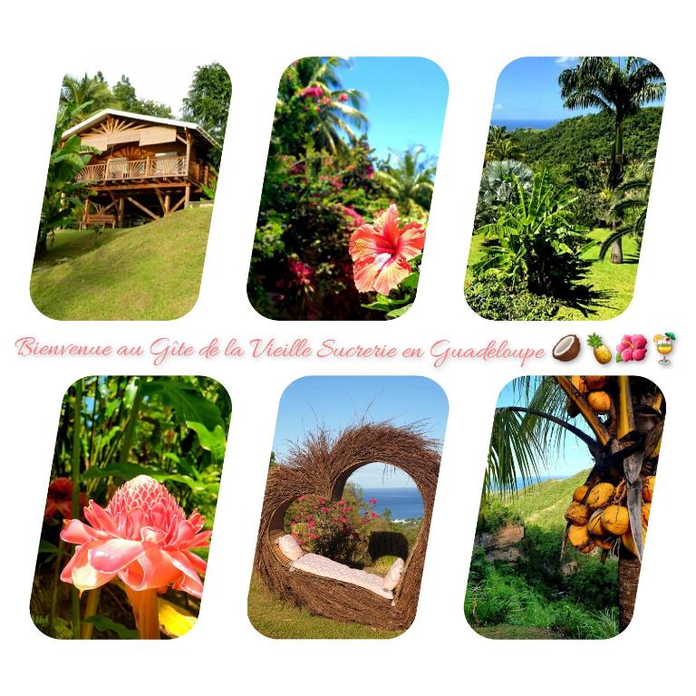 Zahrada ubytování Gîte 4 étoiles, la Vieille Sucrerie St Claude Guadeloupe, Jacuzzi Spa privatif, vue exceptionnelle sur la mer des Caraïbes