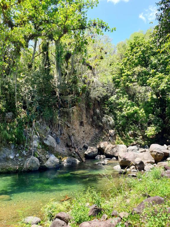 a river with green water and rocks and trees at Gîte 4 étoiles, la Vieille Sucrerie St Claude Guadeloupe, Jacuzzi Spa privatif, vue exceptionnelle sur la mer des Caraïbes in Basse-Terre