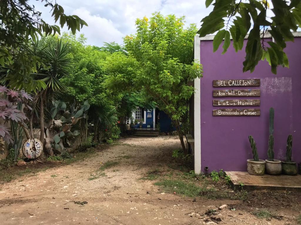 巴利亞多利德的住宿－El Callejón，紫色建筑前的标志