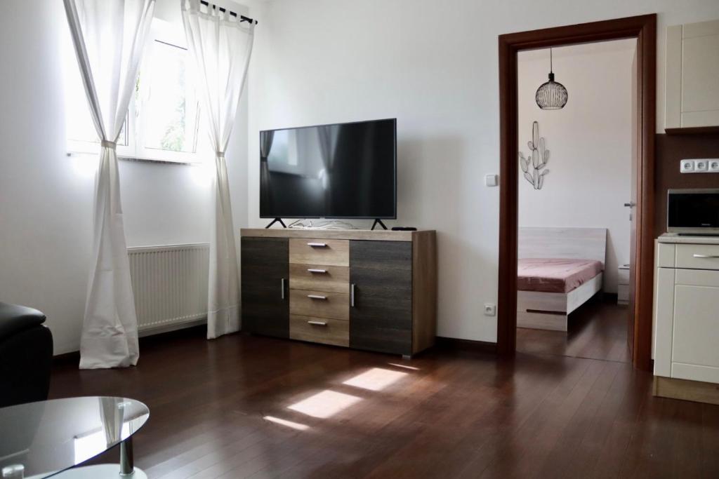 Spa Moser apartments - One-Bedroom Apartment