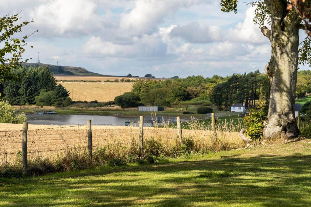 a field with a fence and a tree and a lake at Stewarts Resort Lodge 26 in St. Andrews