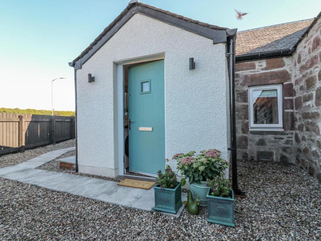 ein kleines Haus mit einer blauen Tür und zwei Pflanzen in der Unterkunft Lindsay Cottage in Kirriemuir