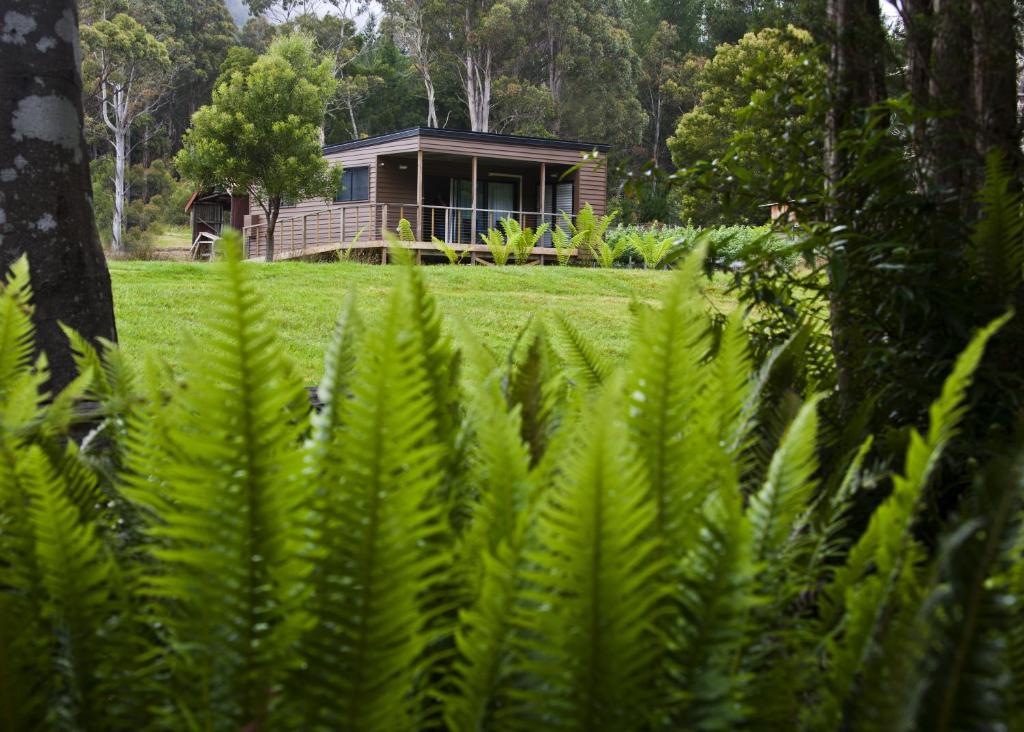 Aed väljaspool majutusasutust Tyenna River Cottages