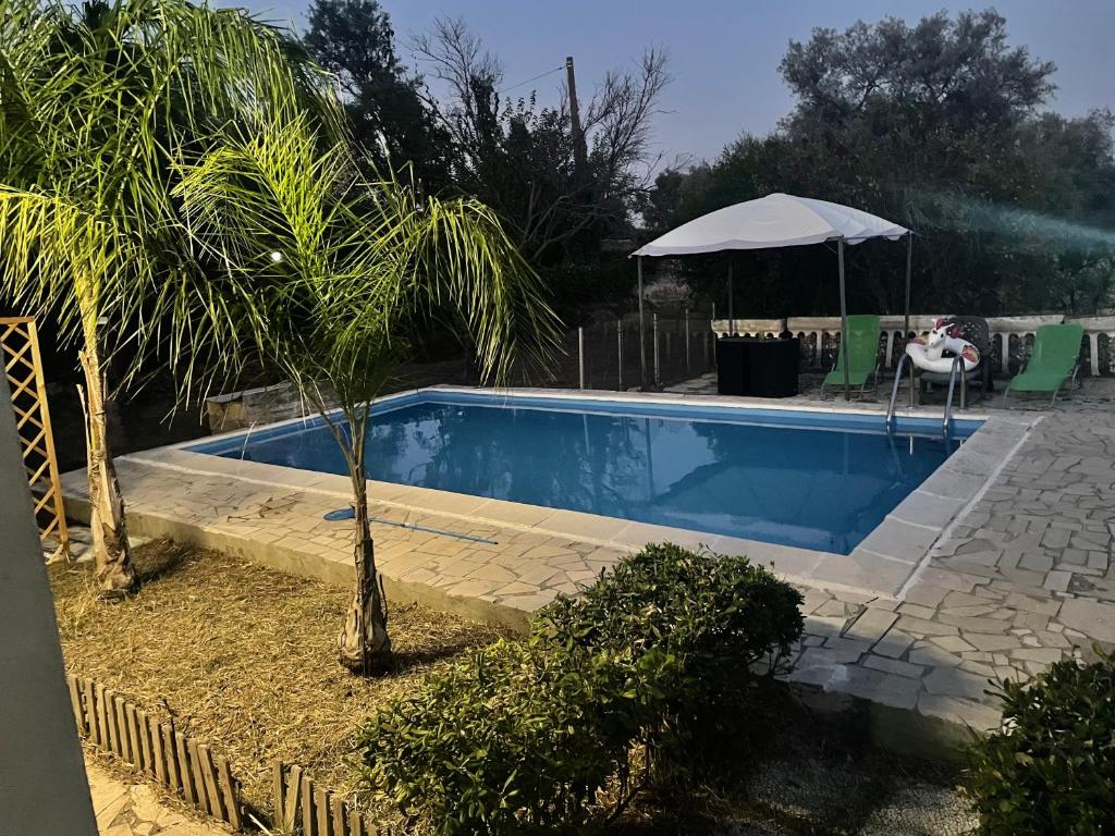 貝爾韋代雷的住宿－Villa aretusa，一个带棕榈树和遮阳伞的游泳池