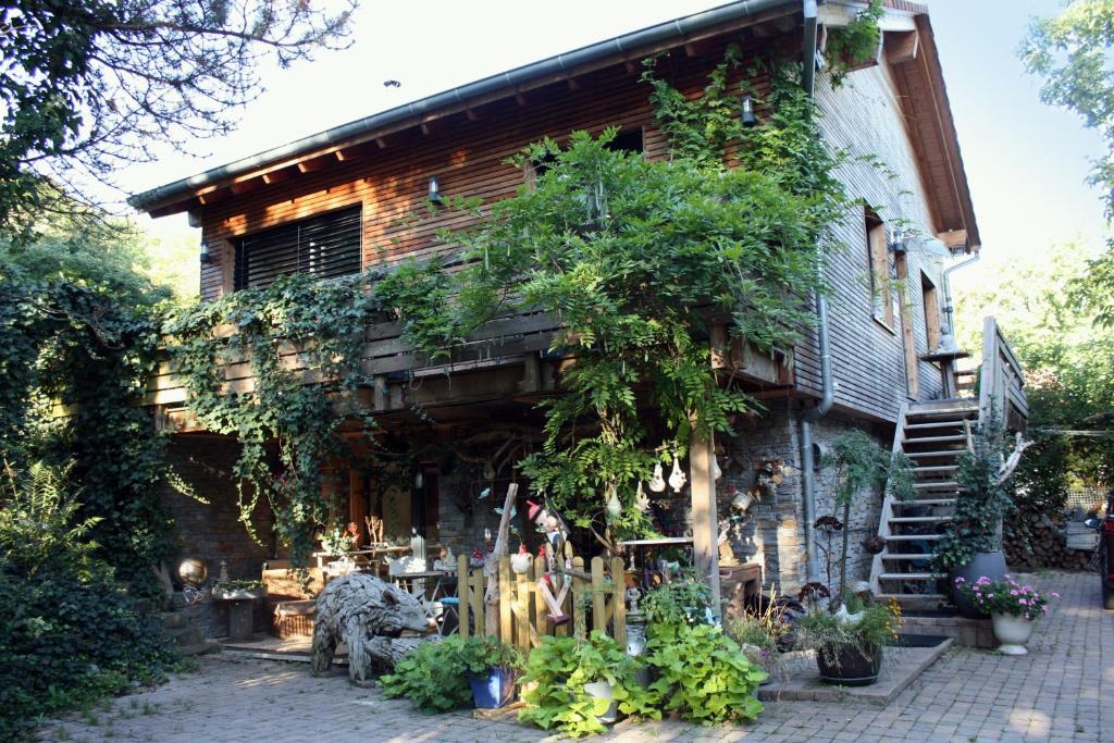 une maison où poussent des plantes sur son côté dans l'établissement Cocon d'Argile, à Bischoffsheim