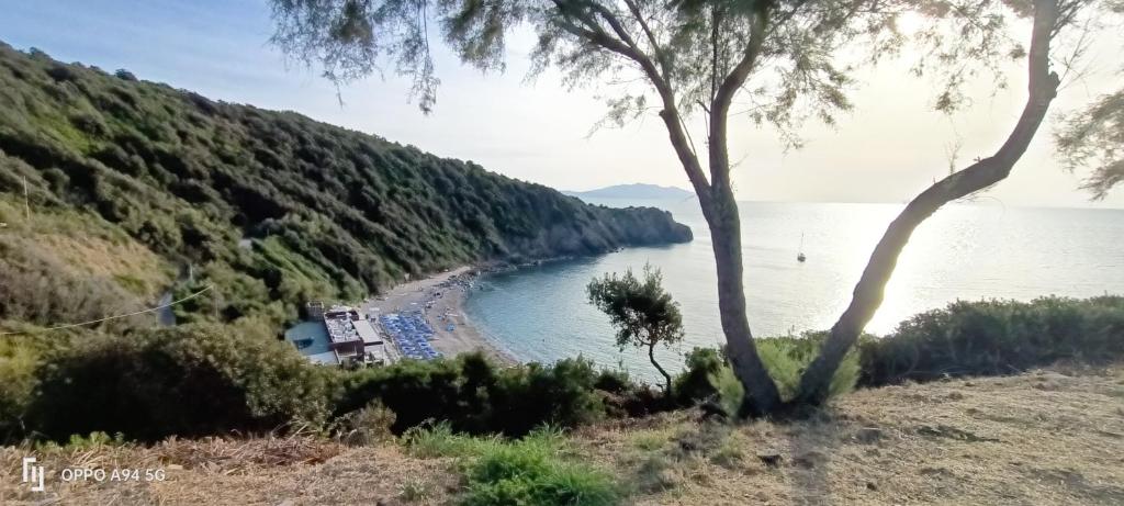Táj az apartman közelében