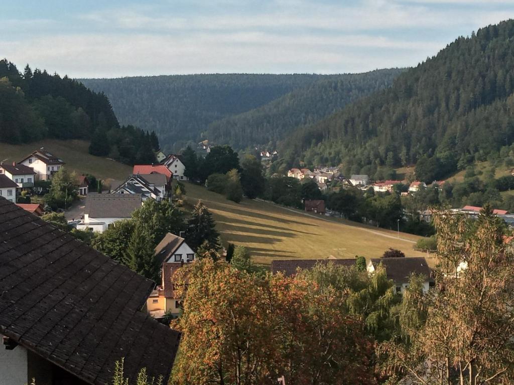 ein Dorf in den Bergen mit einem Feld und Bäumen in der Unterkunft Waldblick in Baiersbronn