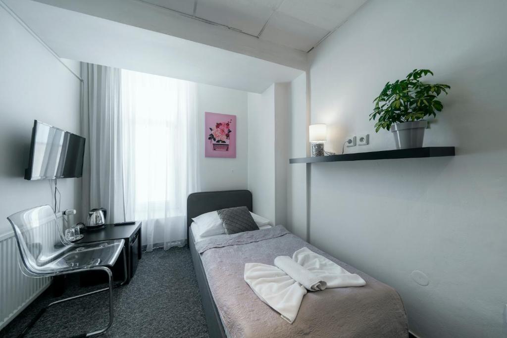 Penzion Homer Poděbrady - Standard Single Room
