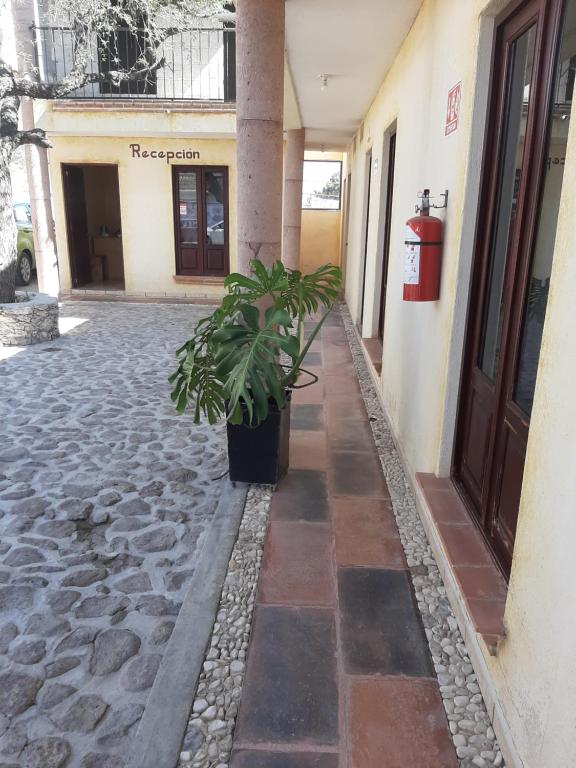Fotografie z fotogalerie ubytování Hotel Villa Aurora v destinaci Bernal