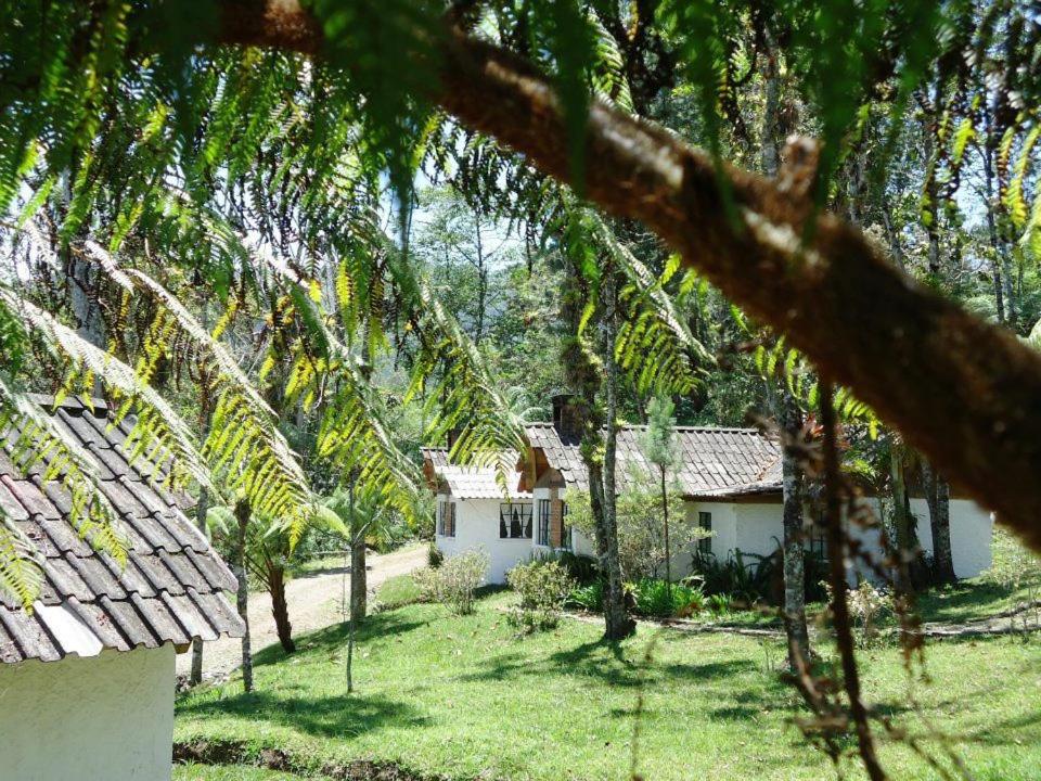 a house in the middle of a yard with palm trees at Posada Montaña del Quetzal in Cobán