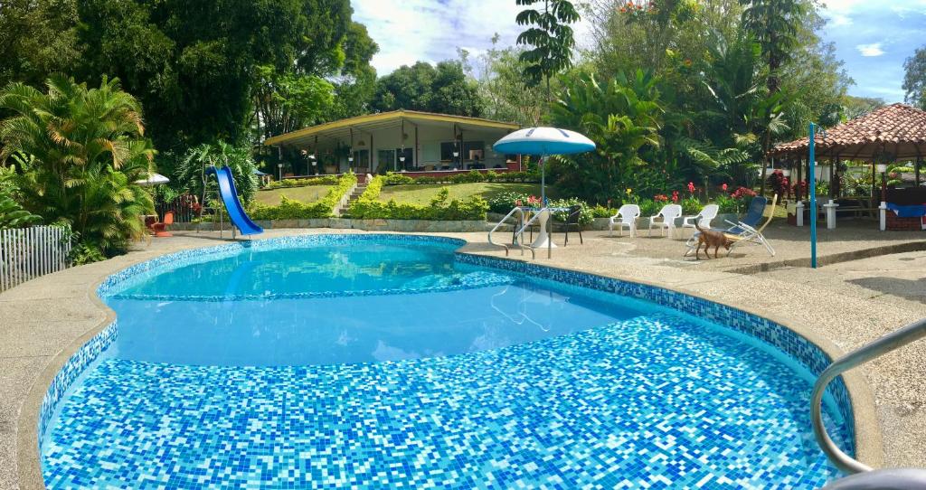 una piscina azul con tobogán, sillas y sombrilla en El Jardín de los Colibríes - Pereira, Risaralda, en Pereira