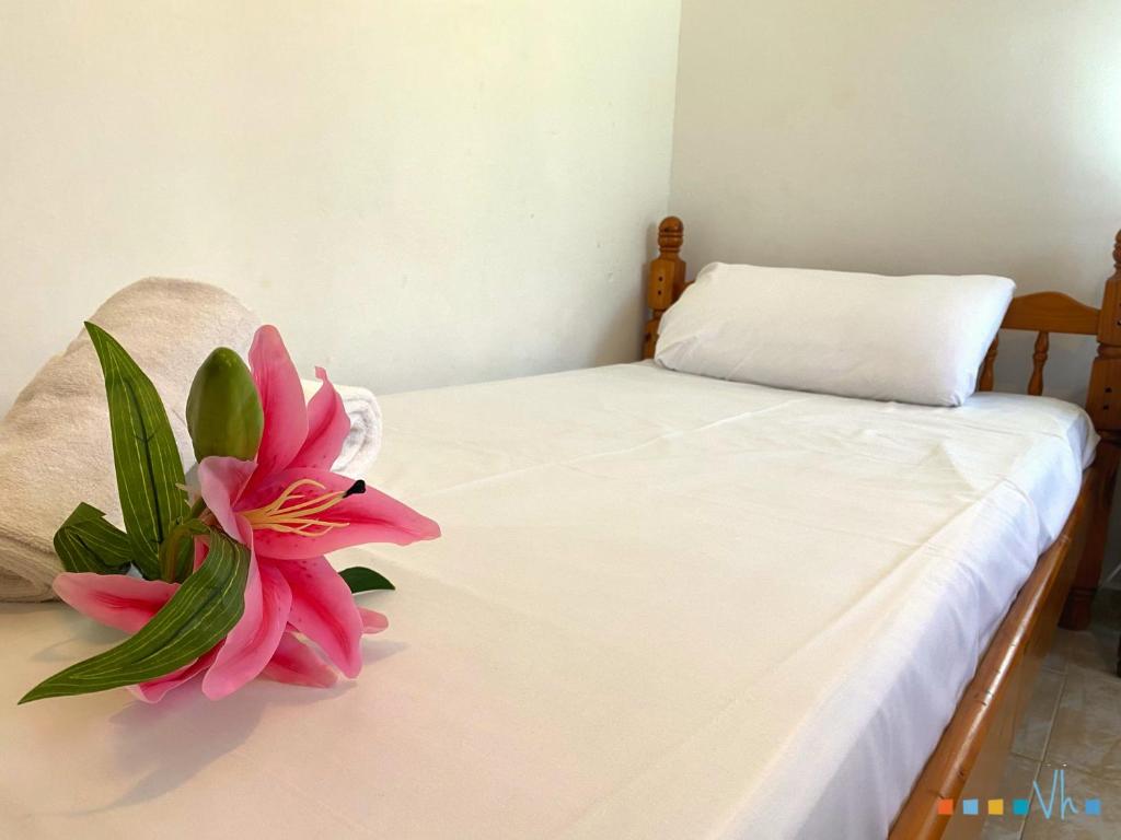 Fotografie z fotogalerie ubytování VH CostaBlanca - GOLONDRINA v destinaci Calpe