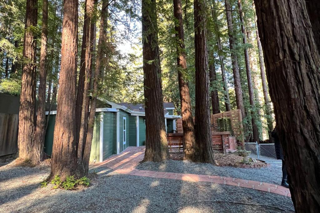 Juniper Haus - Housity