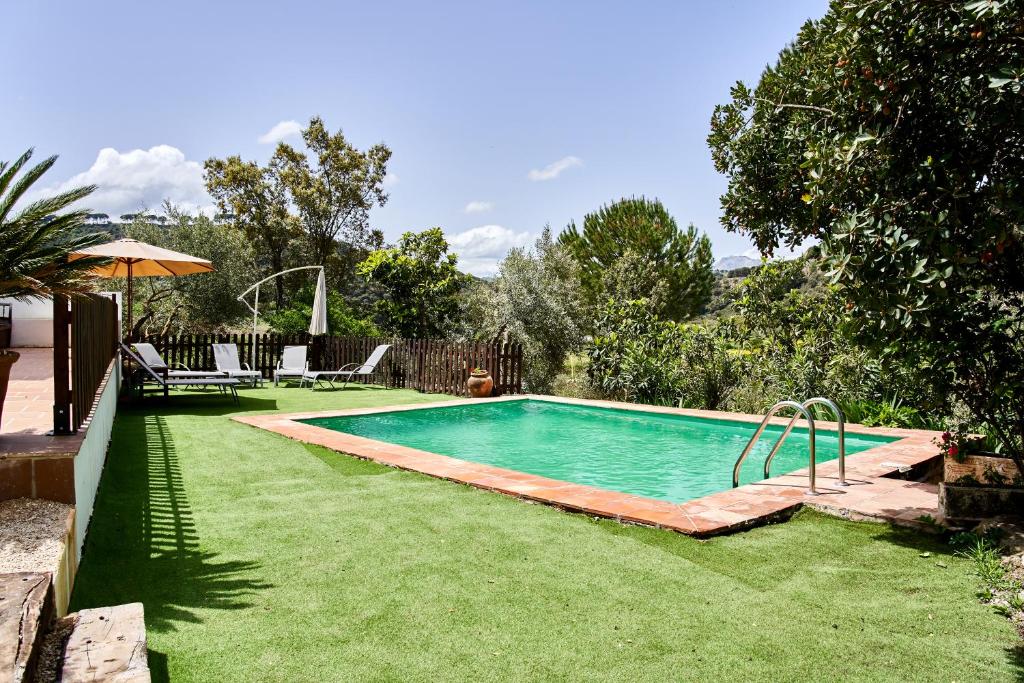 a swimming pool in a yard with green grass at Las Mimosas in Ronda
