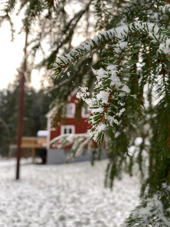 Ferienhaus Småland v zimě