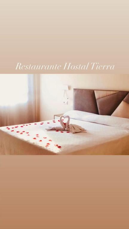 Hotel Tierra - Chambre Lit King-Size De Luxe