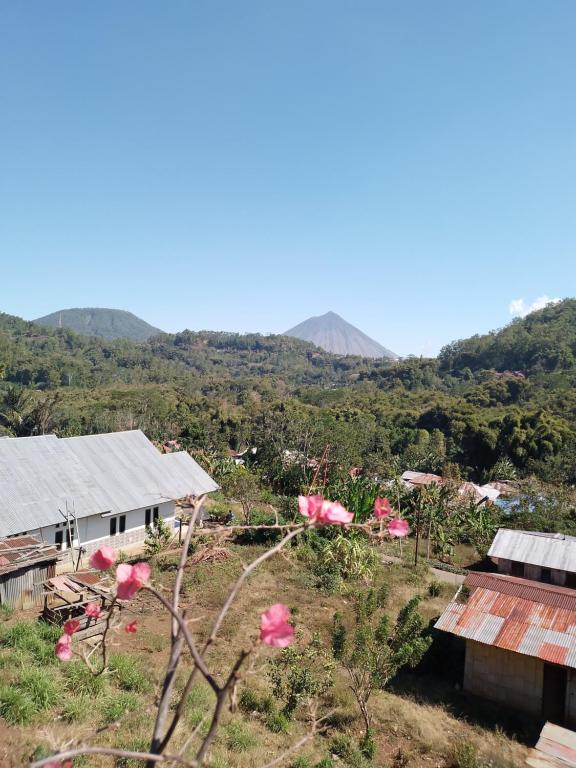 A general mountain view or a mountain view taken from the homestay