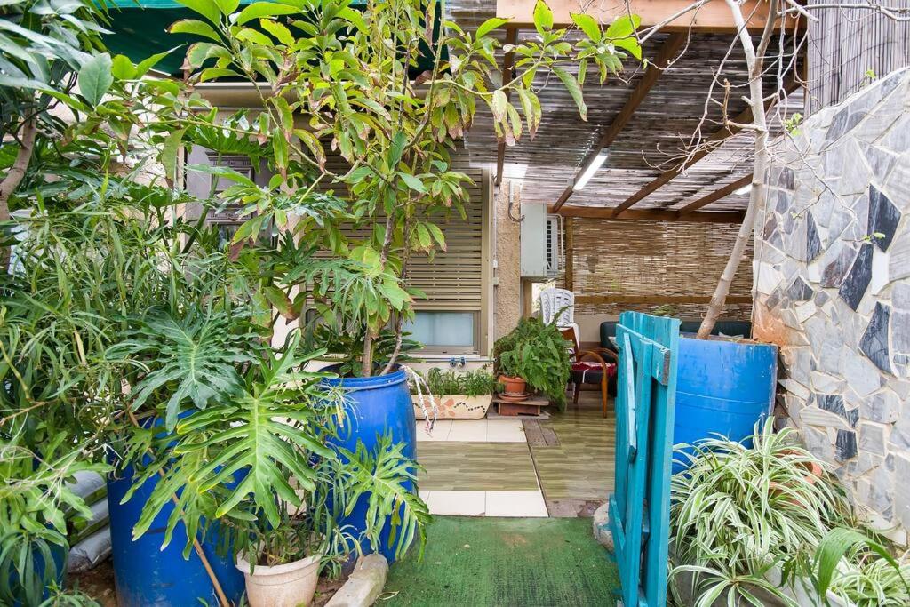 Ahuzat Shaul - Apartment - Appartamento
