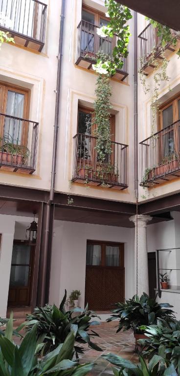 El Palacio de Nuncio - 6