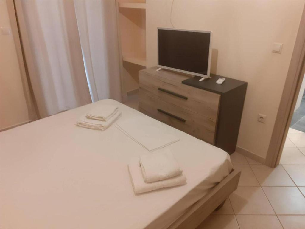 TV a/nebo společenská místnost v ubytování Villa Sofia II