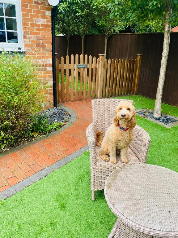 Little Woodside a beautiful New Forest self contained private luxury annexe - Casa De Um Quarto