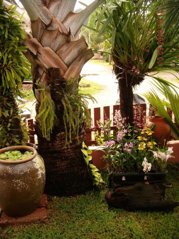 Zahrada ubytování Ao Nang Home Stay - Adults Only