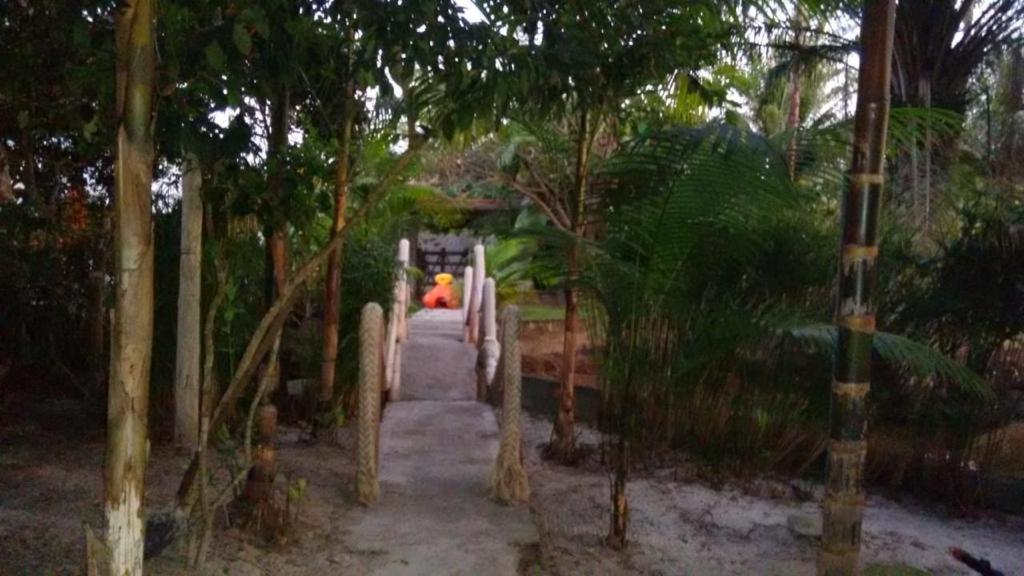 a person in orange sitting on a bridge in a forest at recanto da paz in Una