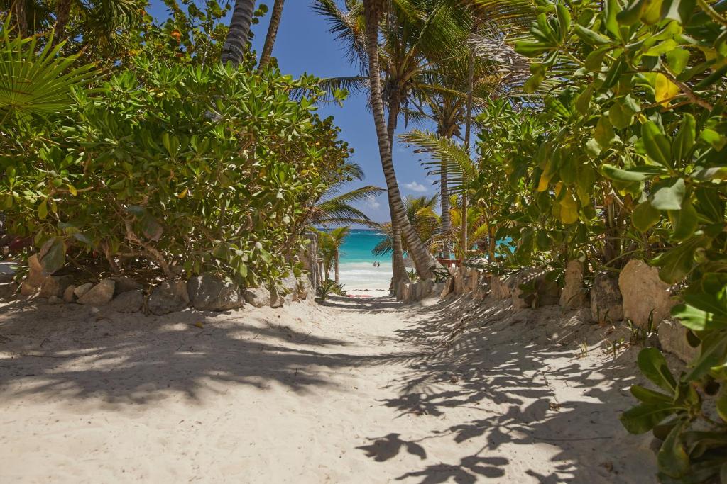 a sandy beach with palm trees and the ocean at Dos Ceibas Tulum Feel Good Hotel in Tulum