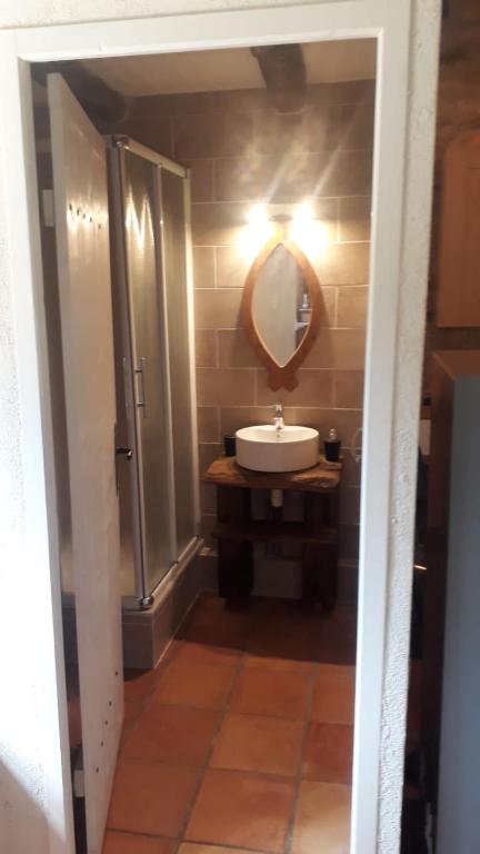 łazienka z umywalką i lustrem w obiekcie La petite maison bleue avec piscine w mieście Loubejac