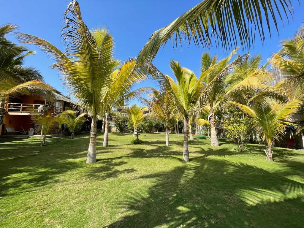 a group of palm trees on a lawn at La Casa de Pitty in Máncora