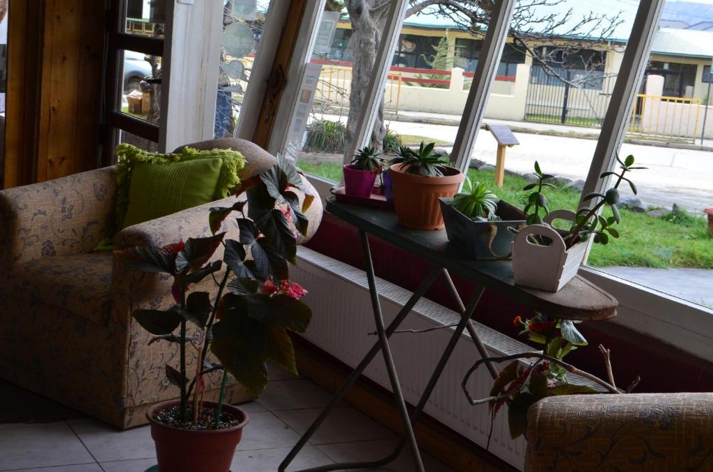 Zahrada ubytování Hostal Los Pinos