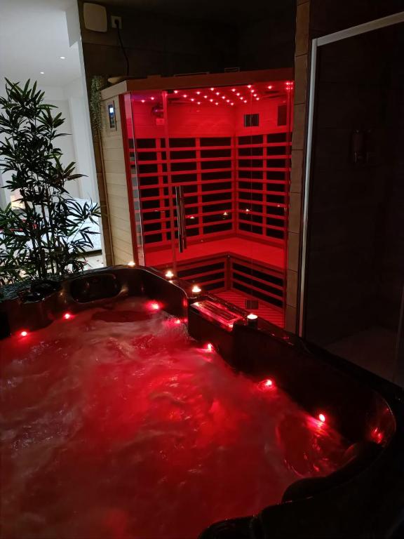 Fotografia z galérie ubytovania Spa appartement O temps suspendu Reims centre sauna et jacuzzi v destinácii Reims