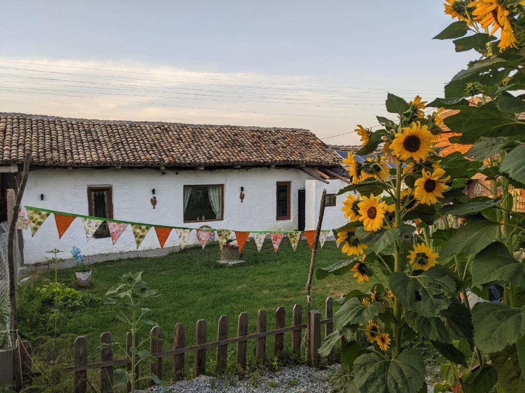une maison avec des tournesols devant une clôture dans l'établissement Serendipity Cottage Palamartsa, à Palamarza