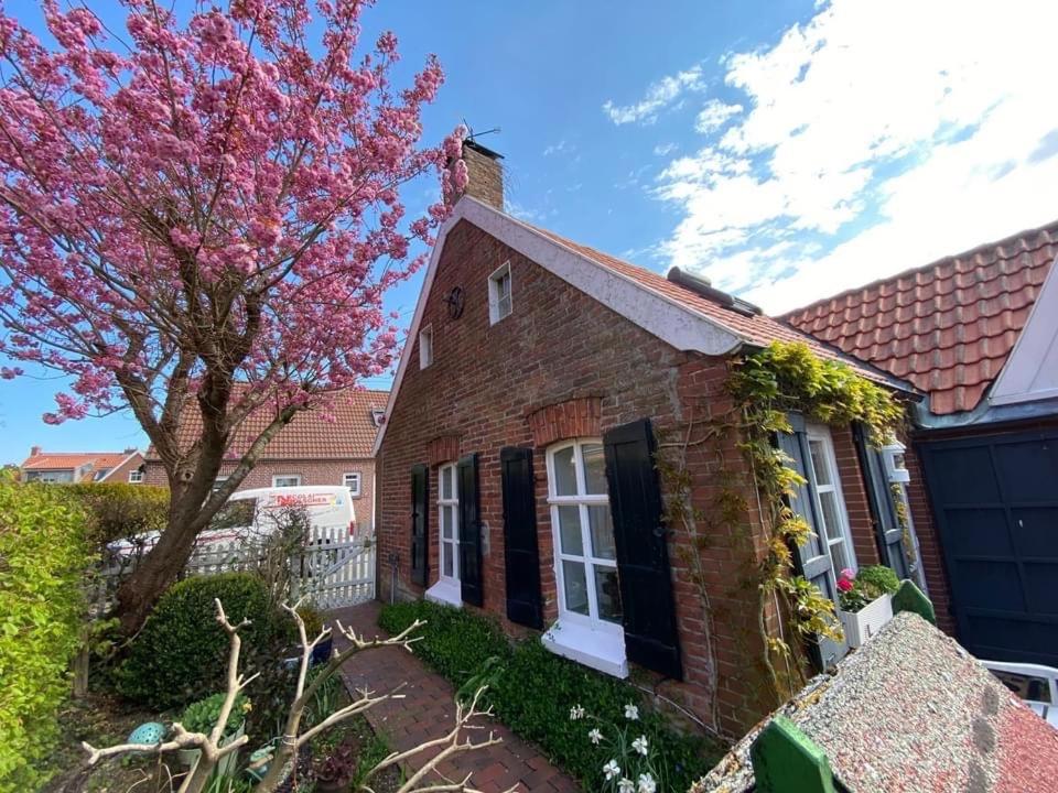 a brick house with a tree in the yard at Das Atelier in Krummhörn