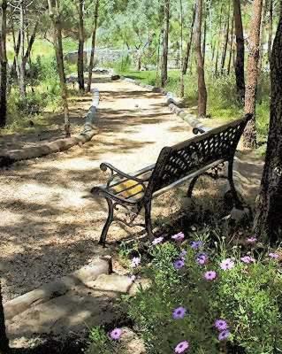 a park bench sitting on a path in the woods at Quinta Dos Amarelos no Meco in Aldeia do Meco