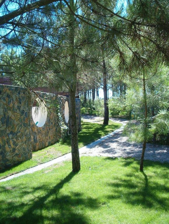 a group of trees in a park with a path at Quinta Dos Amarelos no Meco in Aldeia do Meco